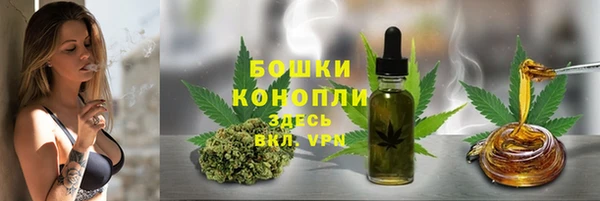 дживик Краснотурьинск