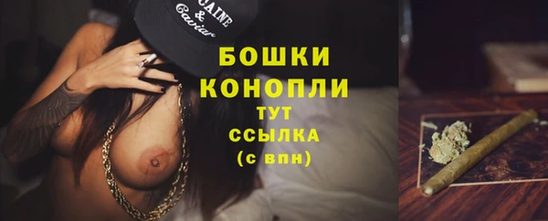 молекула духа Краснослободск