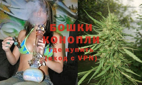 молекула духа Краснослободск